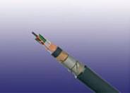PE绝缘填充/非填充四线组结构铁路信号电缆 (RF 0.1)