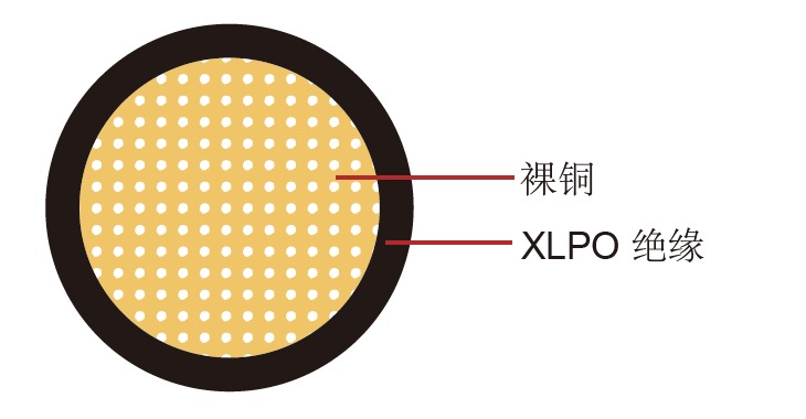 SGX 美标汽车电缆