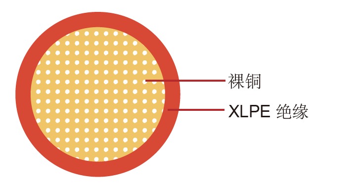WXC 美标汽车电缆