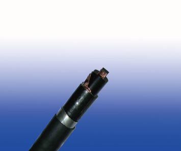 FIRETOXϵ��600/1000V XLPE��Ե,LSZH����,˫�ִ���װ������(3о)