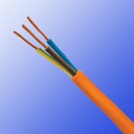 318TQ(BS 6500) BS英标工业电缆